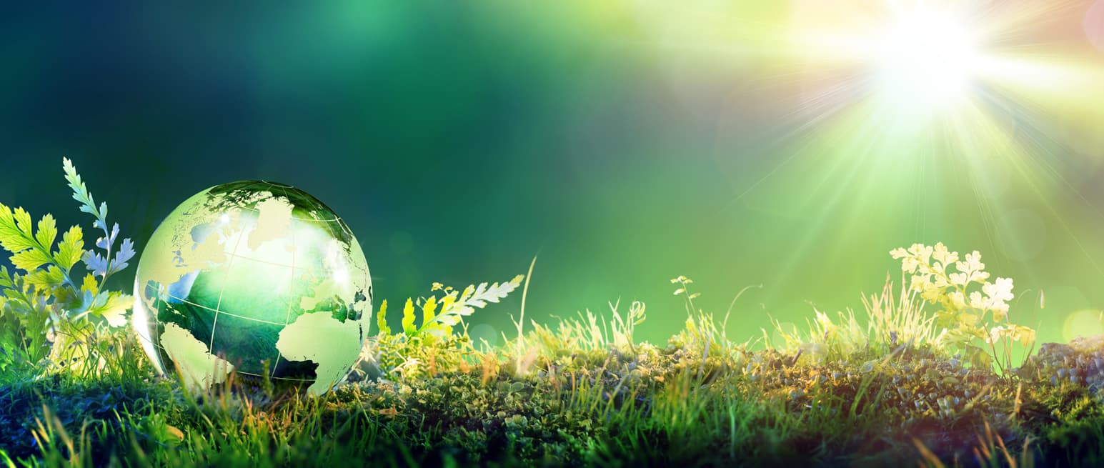 Lavandería y tintorería ecológica en Santiago